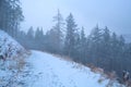 Path in foggy winter Harz mountains