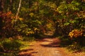 Path in the forest Autumn time beauty of autumn full of colors Royalty Free Stock Photo