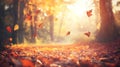 The path in the forest is covered with autumn leaves, sunlight penetrates between the trees Royalty Free Stock Photo