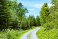 Path in Forest Daytime Footpath HIking Mountain Climbing Park St Royalty Free Stock Photo