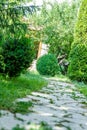 Path in the forest, footpath in the park Royalty Free Stock Photo