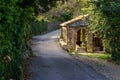 Path in the forest and house with fountain to relax and refresh.