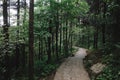 Path in forest in Mingyue Mountain, Jiangxi, China Royalty Free Stock Photo