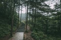 Path in forest in Mingyue Mountain, Jiangxi, China Royalty Free Stock Photo