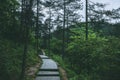 Path in forest in Mingyue Mountain, Jiangxi, China Royalty Free Stock Photo