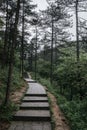 Path in forest in Mingyue Mountain, Jiangxi, China Royalty Free Stock Photo