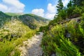 Path in the forest between mountains for hikers. Royalty Free Stock Photo
