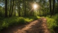 path in the forest a nature scene with a dirt path in the forest and sunshine through the trees Royalty Free Stock Photo