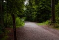 Path in the forest without people. Active recreation in nature. Bicycle path. Beautiful forest in summer. Hiking trail Royalty Free Stock Photo