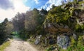 Path in the forest between pine trees and large rocks with sun rays in the sky. Guadarrama Madrid Royalty Free Stock Photo