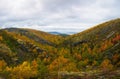 Path on the forest slope of the mountain in autumn in Khibiny, Kola Peninsula, Russia