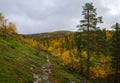 Path on the forest slope of the mountain in autumn in Khibiny, Kola Peninsula, Russia