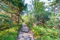 Path in the forest on sunny day, hiking trail in mountains Royalty Free Stock Photo