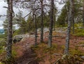 Path through the forest on the top of Aavasaksa mountain in Finland Royalty Free Stock Photo