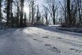 Path in the forest with tracks in the snow