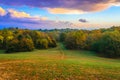 Path into the Forest Royalty Free Stock Photo