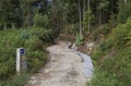Path among the forest where the pilgrims walk in the Camino de Santiago, Spain. Royalty Free Stock Photo