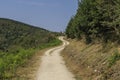 Path in the forest where the pilgrims walk in the Camino de Santiago, Galicia, Spain. Royalty Free Stock Photo