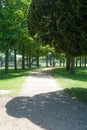 Path through formal garden