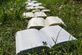 Open books on the grass