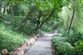 Path in the forrest park