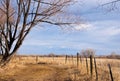 Path Forward Through a Bright Field