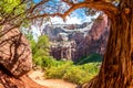 Path framed by a dead tree in Zion national park, Utah Royalty Free Stock Photo