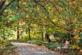 Path through the Frederik Meijer Gardens during the fall Royalty Free Stock Photo