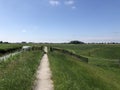 Path through a frisian farmland landscape