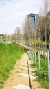 Path in a garden in Collblanc, Barcelona