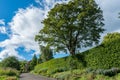 A path at Glasgow botanic gardens Royalty Free Stock Photo
