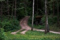 The path goes into a green forest.