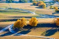 The path and golden trees on the prairie Royalty Free Stock Photo