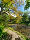 A Path by the Grand