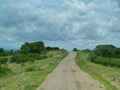 a path in a grassland Royalty Free Stock Photo