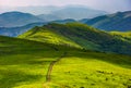 Path through grassy meadow on hillside Royalty Free Stock Photo