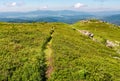 Path through grassy meadow to huge boulders Royalty Free Stock Photo