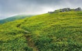 Path through grassy meadow to huge boulders Royalty Free Stock Photo