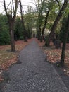 Path in graveyard