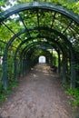 Path in green arch in park Royalty Free Stock Photo