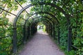 Path in green arch in the park Royalty Free Stock Photo