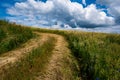 Path in green field with blue sky and white clouds in sunny summer day Royalty Free Stock Photo