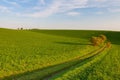 Path between green fields Royalty Free Stock Photo