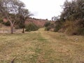 path in green grass and nearby trees. Royalty Free Stock Photo