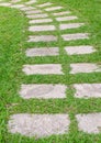 Path on green grass Royalty Free Stock Photo