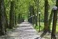 A path in a green park