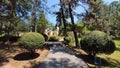 Path in a green park and trees arond