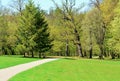 Path in a green park