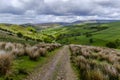 Path from Hayfield