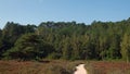 Path to the Schoorlse Duinen Dunes in North Holland, the Netherlands Royalty Free Stock Photo